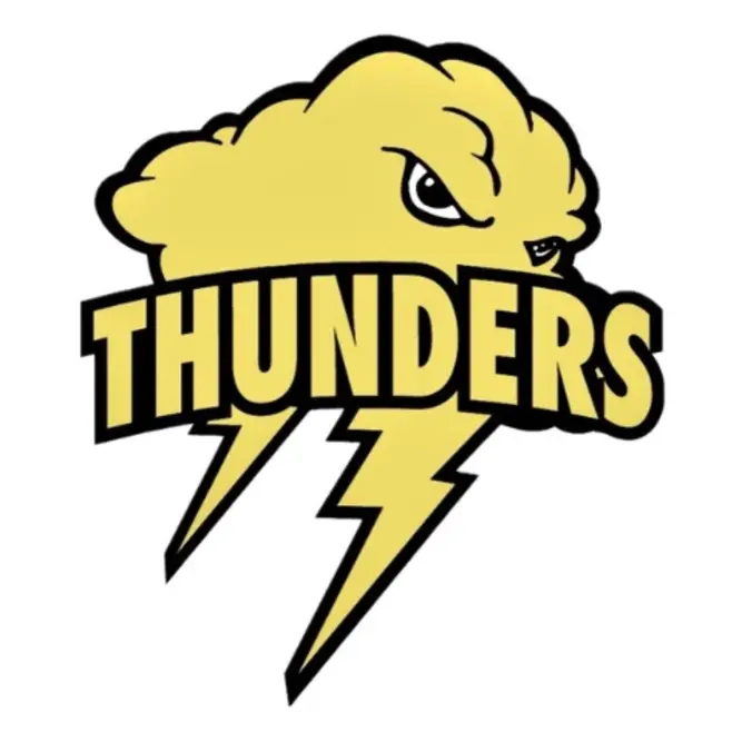 チアリーディング部